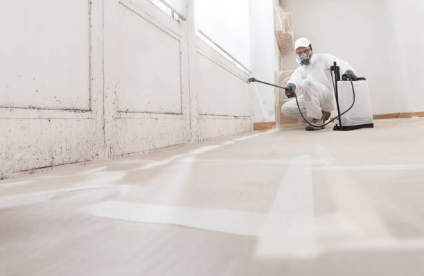 24/7 Emergency Black Mold Remediation experts in Concord, VA