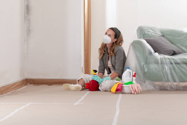 Reliable Black Mold Remediation contractor in Concord, VA by Car Mold Remediation